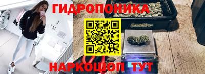 ГАЛЛЮЦИНОГЕННЫЕ ГРИБЫ Конаково