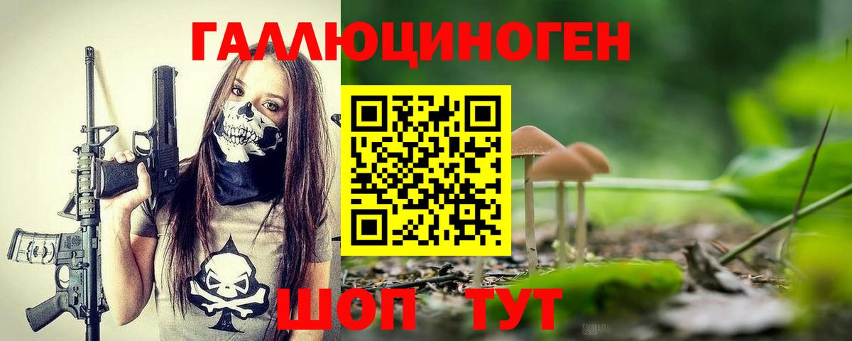 Псилоцибиновые грибы Psilocybe  Псилоцибиновые грибы ЛСД  Вход с VPN  Алексеевка 