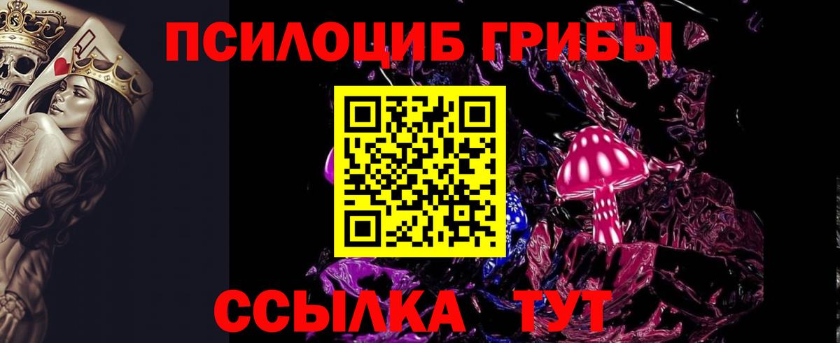 Галлюциногенные грибы прущие грибы Алексеевка